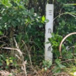 Thumbnail of post image 126