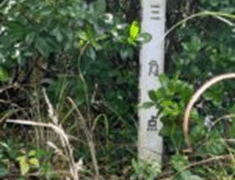 Thumbnail of post image 170